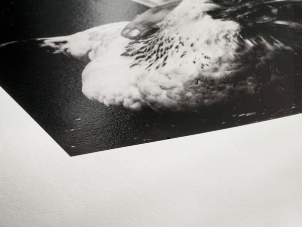 Hahnemühle Photo Rag® Baryta