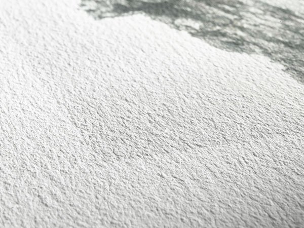 Hahnemühle German Etching paper