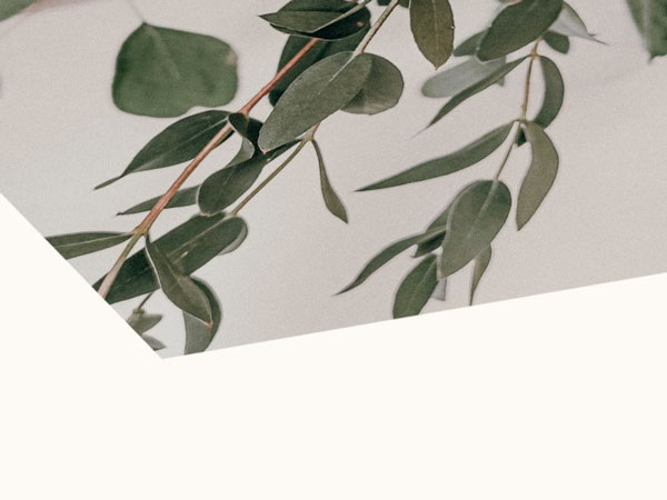 Pro Photo Pastell Matt paper